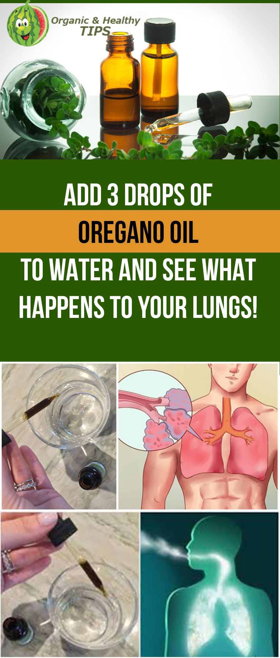 Add 3 Drops of Oregano Oil to Water and See How Your Lungs Transform