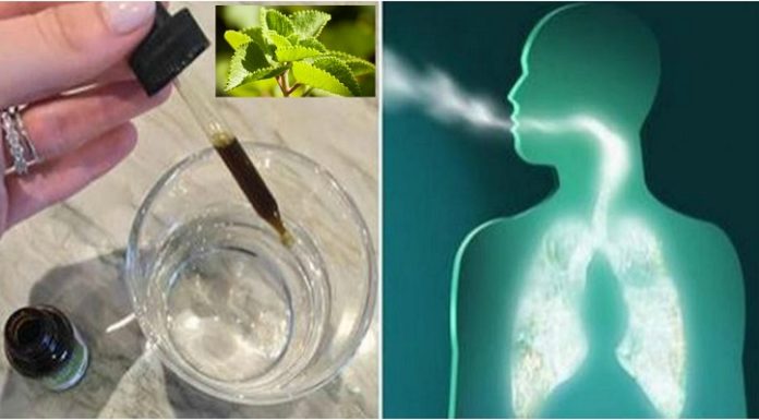 Add 3 Drops of Oregano Oil to Water and See How Your Lungs Transform