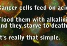 Cancer Cells Thrive In Acidity. Restore The Body’s pH Levels With Just One Superfood