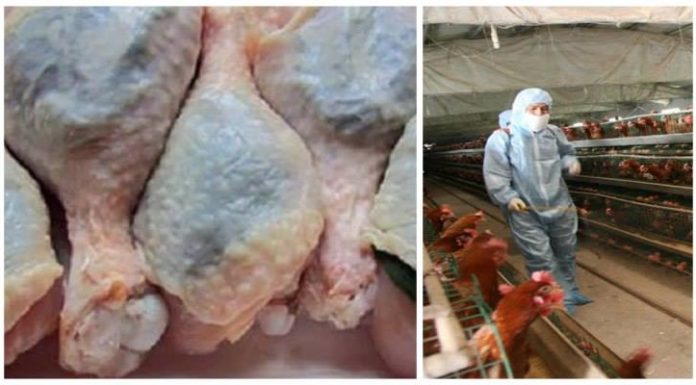 Finally! The FDA Admits That Nearly Over 70% of U.S. Chickens Contain Cancer-Causing Arsenic.