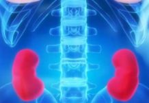10 Deadly Habits That Seriously Damage Your Kidneys
