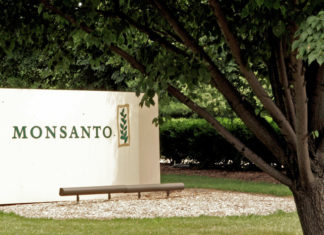 French Court Finds Monsanto Guilty of Chemical Poisoning