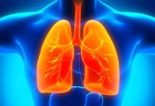 Common Plant Compound Found to Reverse Lung Problems from COPD