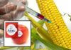 The Top Six Things Everyone Must Know to Avoid GMOs in 2018