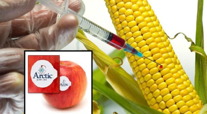 The Top Six Things Everyone Must Know to Avoid GMOs in 2018