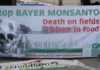 Eight Reasons Why Every Human Being With a Conscience Should Boycott Monsanto-Bayer