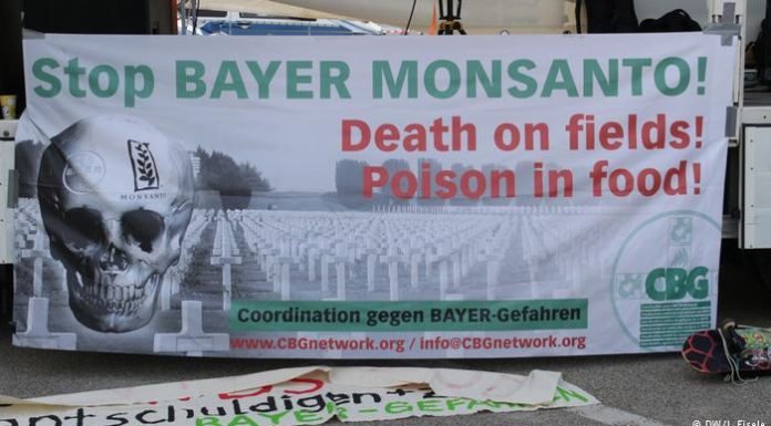 Eight Reasons Why Every Human Being With a Conscience Should Boycott Monsanto-Bayer