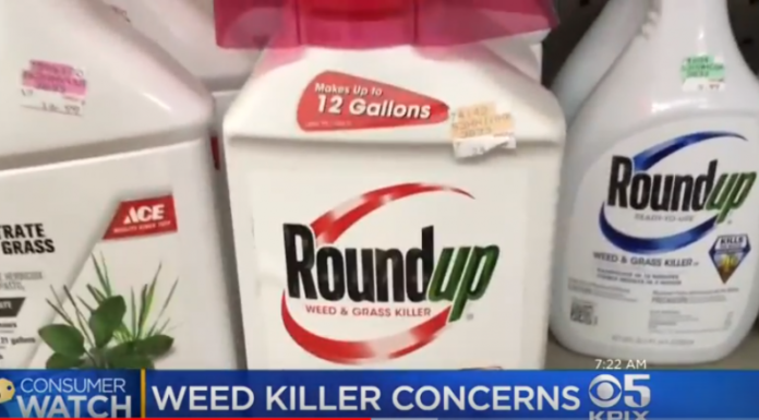 “A Huge Loss for Monsanto:” California Takes Down GMO Giant in Court, Wins Right to Add Cancer Labels