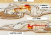 How Sleeping on the Left Side Affects Your Health