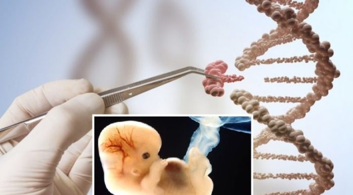 Humans to Be Genetically Modified for the First Time Ever in Europe