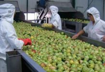 10 Foods Made in China That Are Filled with Plastic, Pesticides, and Cancer-Causing Chemicals