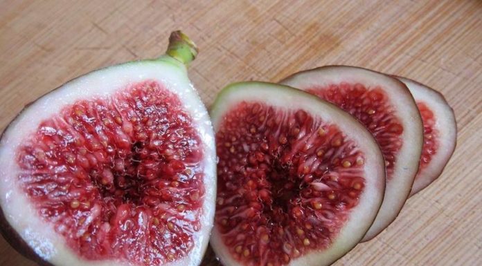 One of the Most Alkalizing Fruits in Existance – Alkalize Your Body to Prevent Cancer and More… .