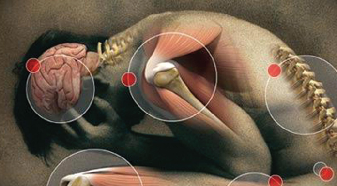 Which Foods Should You Cut to Fight Inflammation?