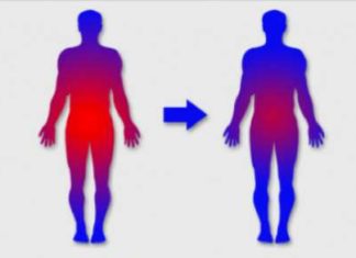 Drink Warm Lemon Water in the Morning for a Year and These 20 Things Happen