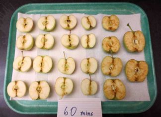 Three New Genetically Engineered “Non-Browning” GMO Apples Are Hitting Store Shelves! Here is How to Avoid Them