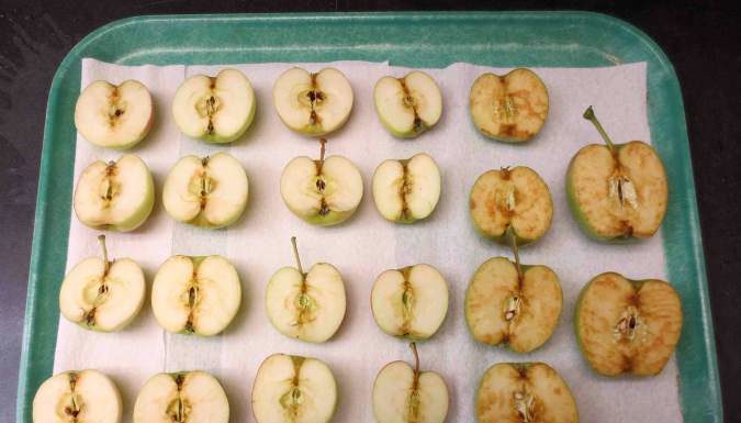 Three New Genetically Engineered “Non-Browning” GMO Apples Are Hitting Store Shelves! Here is How to Avoid Them