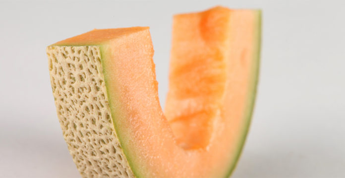 Beware: New Cantaloupe Developed by Monsanto