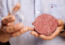 GMO Pusher Bill Gates Teams Up With Richard Branson, Hopes to End the Meat Industry As We Know It With Lab-Grown Beef