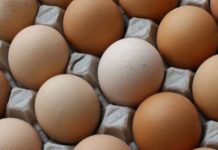 Why Do You Keep Refrigerating Your Eggs?