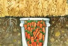 How To Keep Food Fresh Without Electricity