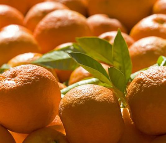 bitter orange benefits