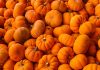 Pumpkin – A Super Food! Two Great Pumpkin Cakes Recipes