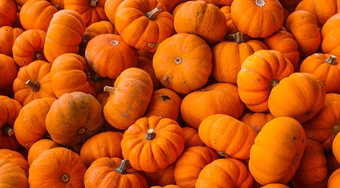 Pumpkin – A Super Food! Two Great Pumpkin Cakes Recipes